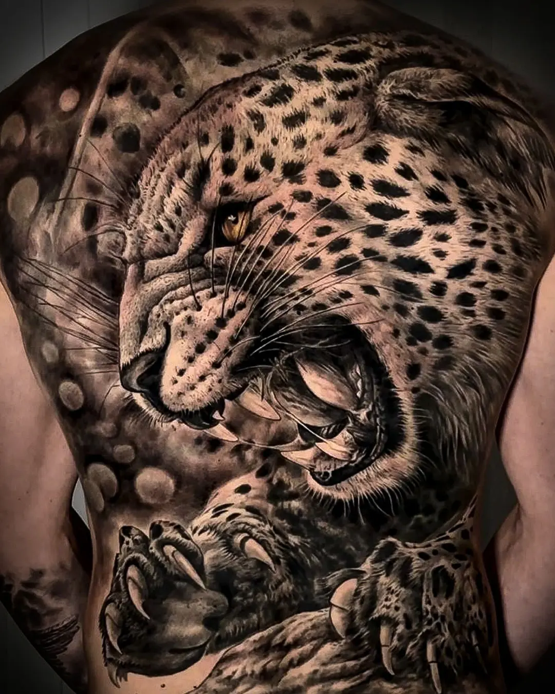 Retrato animal — Jaguar rugiendo