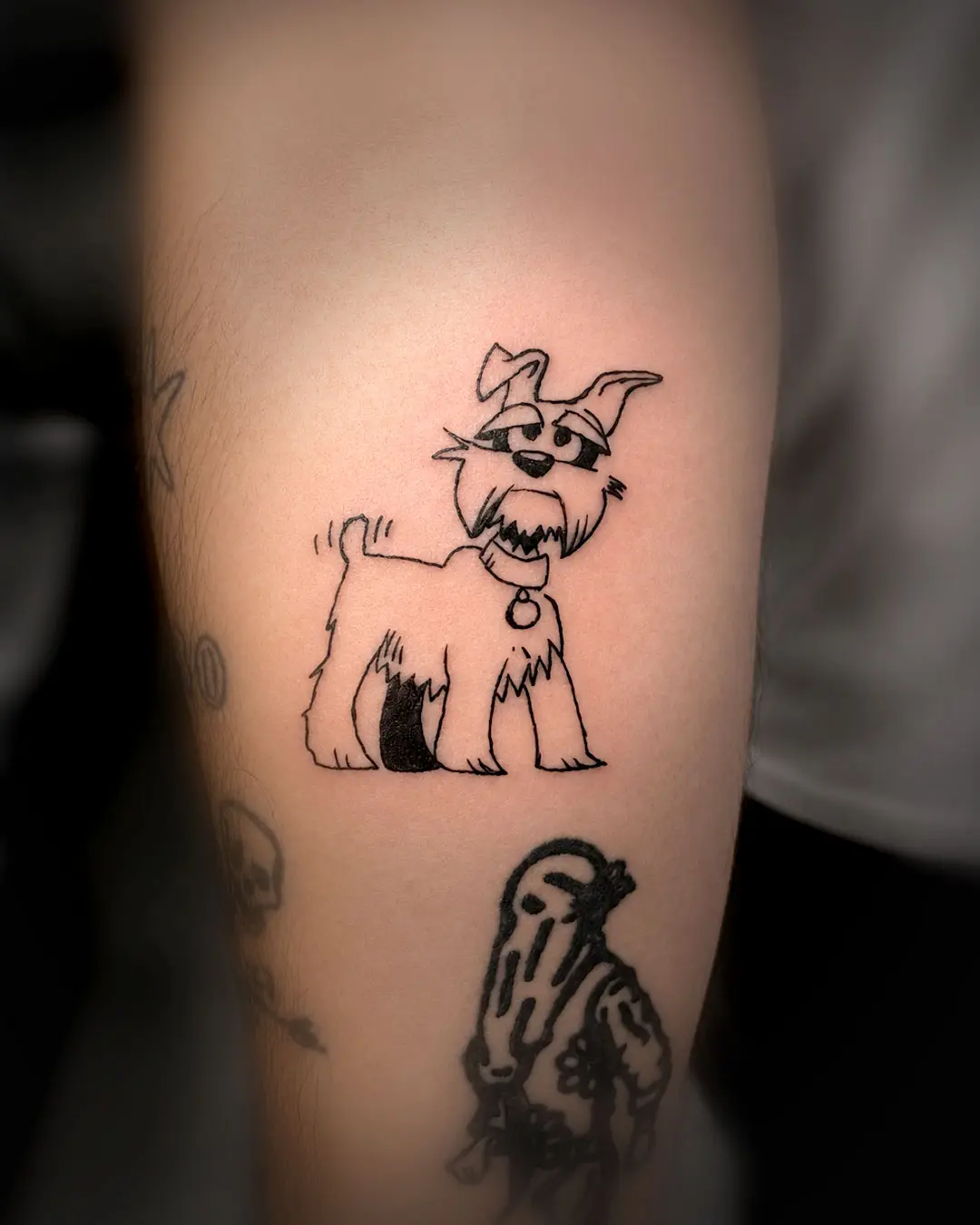 Schnauzer ilustrado — Estilo Fine Line