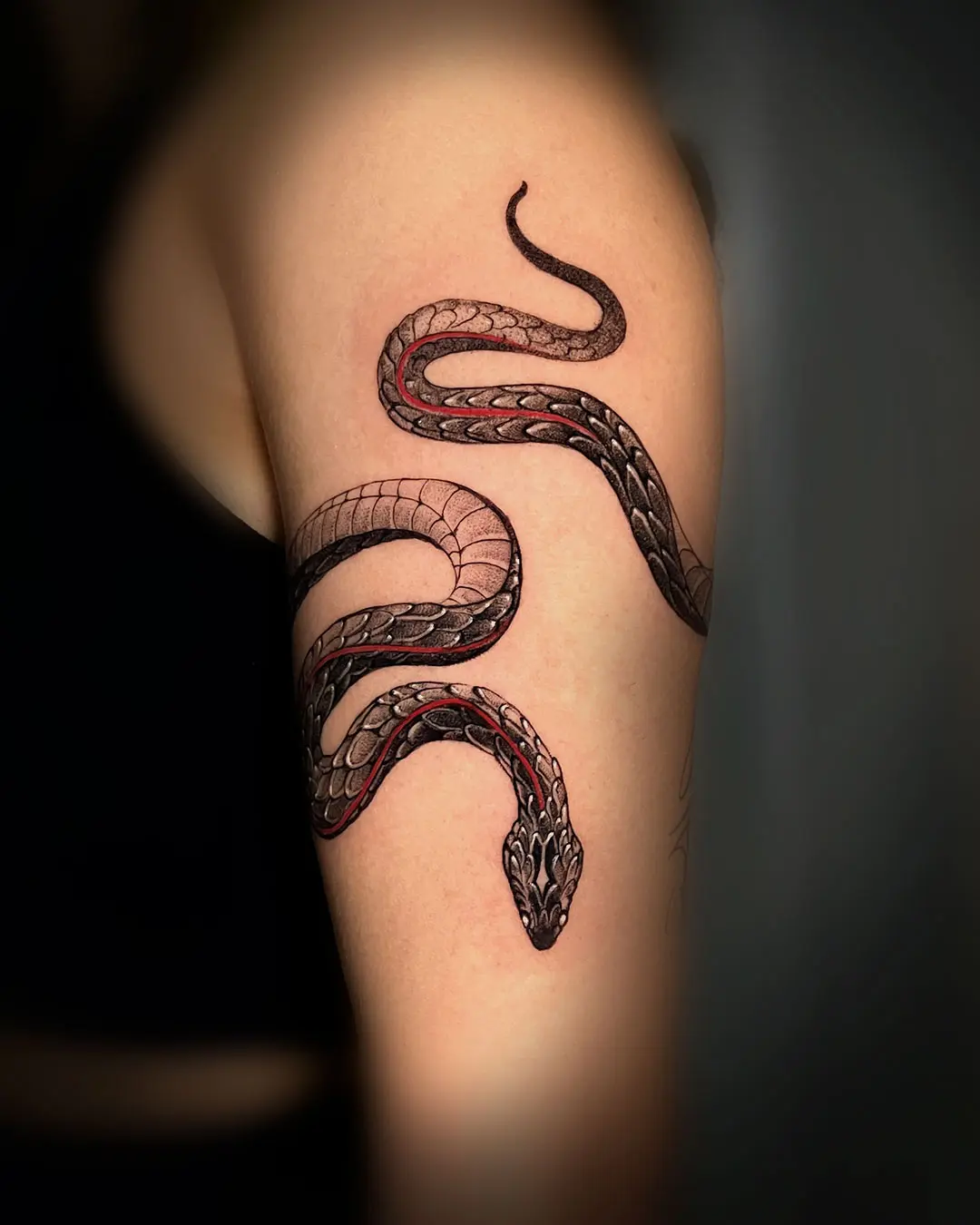 Serpiente de vientre rojo