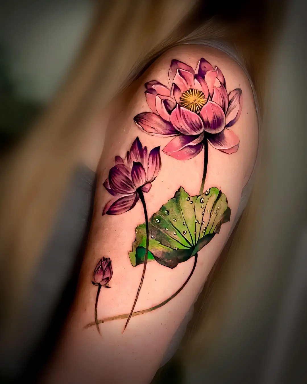 Flores de loto — realismo full color